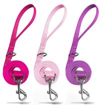 Coleira de cachorro azuza Nylon forte e durável para cães pequenos de 6 pés Coleira de cachorro azuza Nylon forte e durável para cães pequenos de 6 pés