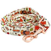 Coleira de cachorro: elegante, pequena cauda de Ação de Graças, durável para cães