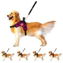Coleira De Cachorro Grande Médio E Pequeno Porte Peitoral Americano Com Alça + Guia Para Cães Rottweiler Husky - D'DUZZA MIX/CANIL