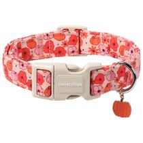 Coleira de cachorro Lionet Paws, flor de Halloween, abóbora, pêssego Coleira de cachorro Lionet Paws, flor de Halloween, abóbora, pêssego