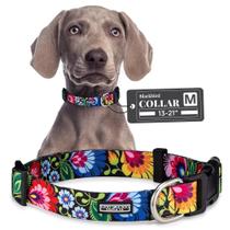 Coleira de cachorro Lucky Love Dog Blackbird para cães pequenos a grandes