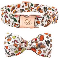 Coleira de cachorro: rabinho elegante com laço para cães X-Small