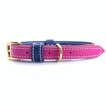 Coleira de Couro para Cachorro e Gato - Fuschia com Royal