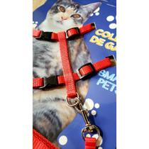 Coleira de Gato Ajustável Leve Macia Charmosa