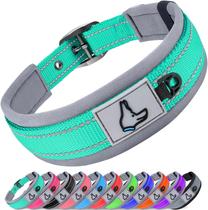 Coleira de neoprene Joytale acolchoada para cães médios Teal M