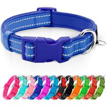 Coleira de neoprene refletiva azuza acolchoada para cães pequenos Coleira de neoprene refletiva azuza acolchoada para cães pequenos