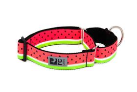 Coleira de treinamento para cães RC Pets Martingale com 1,5