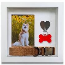 Coleira e foto Shadowbox Frame Green Pollywog Dog Tag