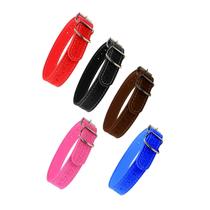 Coleira Em Couro Estampa Corrent N7 - Coltelli Coleira Em Couro Estampa Corrent N7 - Coltelli