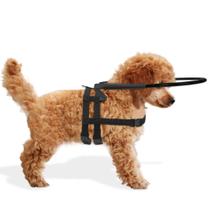Coleira Guia Cachorro Cego Aro Regulável Tamanho 1 Proteção Cão Pet Best Soluções