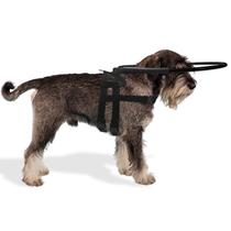 Coleira Guia Cachorro Cego Aro Regulável Tamanho 2 Proteção Cão Pet Best Soluções