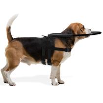 Coleira Guia Cachorro Cego Aro Regulável Tamanho 3 Proteção Cão Pet Best Soluções
