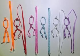 Coleira Guia Para Calopsitas