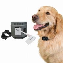 Coleira impermeável Wireless Dog Fence Premier Pet de 0,5 acre