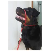 Coleira K-9 Spirit Cabresto Vermelha Coleira K-9 Spirit Cabresto Vermelha