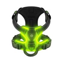 Coleira LED Ajustável E Recarregável Para Cães Pequenos, Médios E Grandes, Colete Para Animais De