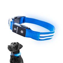 Coleira LED Light Up para cães Tractive USB recarregável azul M