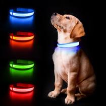 Coleira Led Luminosa Caes Pet Passeio Noturno 1,5cm Cor:Branco