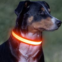 Coleira LED para cães VIZPET ajustável USB recarregável laranja
