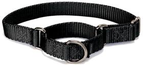 Coleira Martingale PetSafe 1 grande para cães, preta