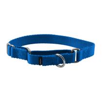 Coleira Martingale PetSafe Royal Blue 3/4 polegadas para cães pequenos