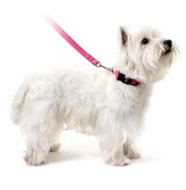 Coleira p/ Cachorros - Rosa