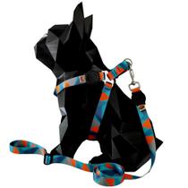 Coleira para cachorro com guia longa 2 metros para passeio modelo peitoral