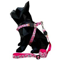 Coleira para cachorro com guia modelo peitoral paraquedas segura resistente