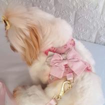 coleira para cachorro com guia rosa floral