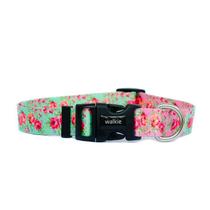 Coleira para cachorro FLOWERS - rosa e verde - WALKIEDOG