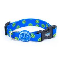 Coleira para cachorro kiwi