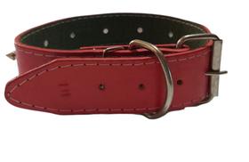 Coleira para Cachorro Pitbull Rottweiler com Cravos em Couro