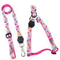 Coleira Para Cachorro Porte Grande Com Guia