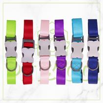 Coleira para Cachorros e Gatos com Guia de 1,20m Tamanhos P e M