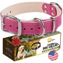 Coleira para cães ADITYNA Heavy-Duty Premium em couro rosa para uso médio Coleira para cães ADITYNA Heavy-Duty Premium em couro rosa para uso médio