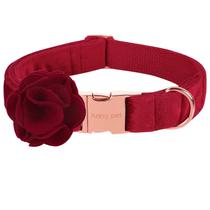Coleira para cães Aing Pet M Velvet Red com flor removível