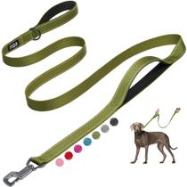 Coleira para cães Fida Heavy Duty 1,5 m com 2 alças acolchoadas verdes