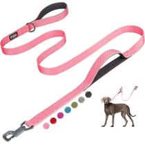 Coleira para cães Fida Heavy Duty de 6 pés com 2 alças acolchoadas de nylon rosa