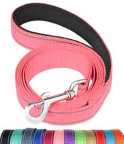 Coleira para cães FunTags reflexiva de 4 pés com alça macia acolchoada rosa Coleira para cães FunTags reflexiva de 4 pés com alça macia acolchoada rosa