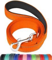 Coleira para cães FunTags reflexiva de 6 pés com alça acolchoada macia Coleira para cães FunTags reflexiva de 6 pés com alça acolchoada macia