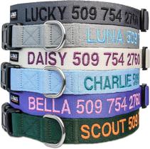 Coleira para cães GoTags personalizada em nylon bordado personalizado