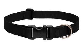 Coleira para cães LupinePet Basics ajustável 41-71 cm preta