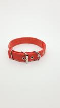 Coleira Para Cães Nylon Forrada nº03 - 54cmx2,5cm