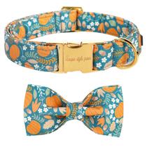 Coleira para cães, patas de estilo único, Halloween, com gravata borboleta, abóbora Coleira para cães, patas de estilo único, Halloween, com gravata borboleta, abóbora