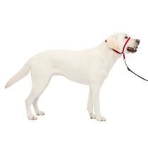 Coleira para cães PetSafe Gentle Leader No-Pull Large, vermelha