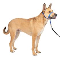 Coleira para cães PetSafe Gentle Leader No-Pull Medium Blue