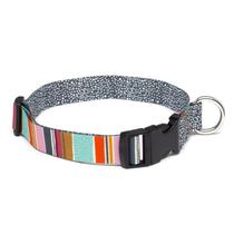 Coleira para cães Seawoof Medium Boy Dog Collar - Multi