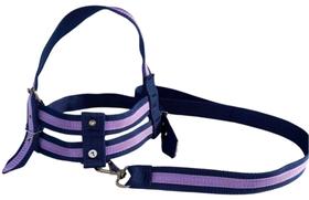 Coleira peitoral ajustável com guia para pet