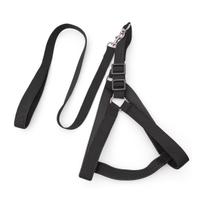 Coleira Peitoral Ajustável com Guia Reforçada para Cachorro Porte Médio e Grande Passeio Seguro Coleira Peitoral Ajustável com Guia Reforçada para Cachorro Porte Médio e Grande Passeio Seguro