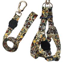 Coleira Peitoral Americano para Cachorro Guia Caveira Mexicana